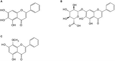 Research progress on pharmacological properties and application of probiotics in the fermentation of Scutellaria baicalensis Georgi
